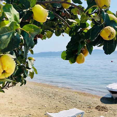 Yali Evi Marmara Adasi