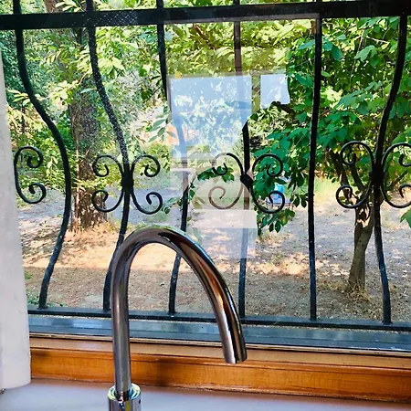 Apartment Yali Evi *