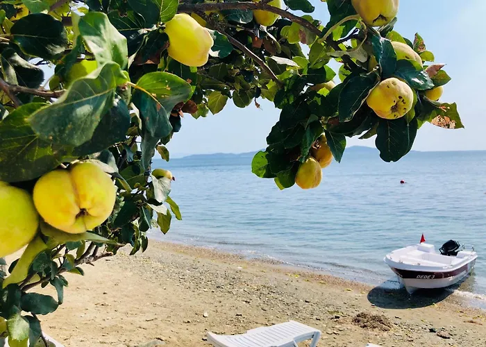 Yali Evi Île de Marmara